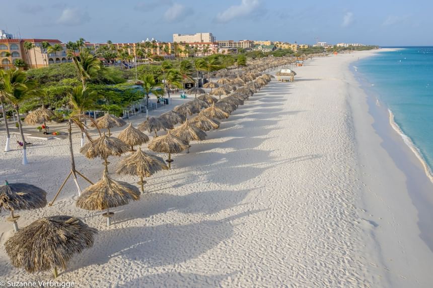 Aerial view of straw umbrellas by beach near Amsterdam Manor