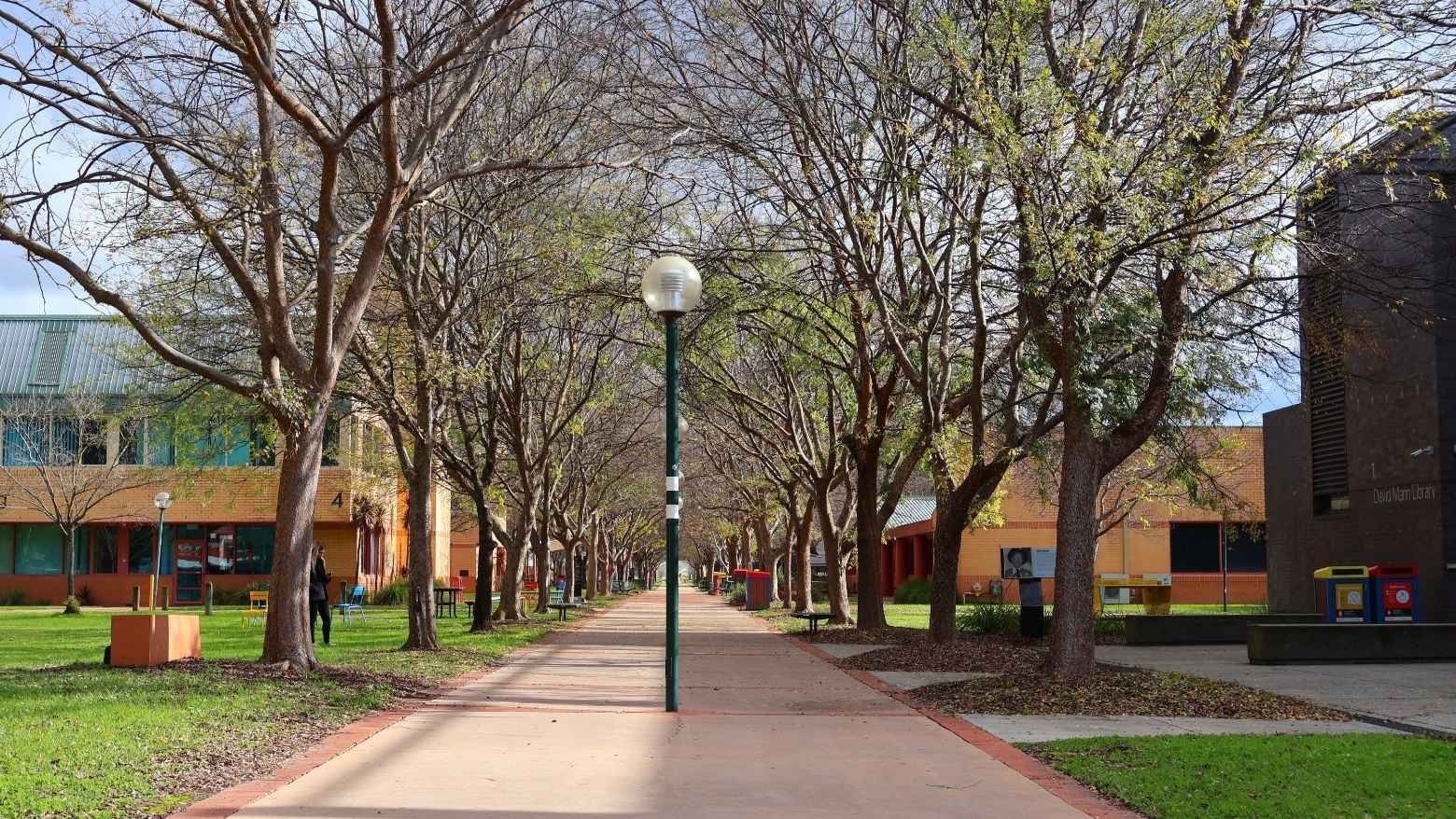 Line of trees and walkway at La Trobe University - McFarlane's Hill Residences.