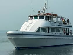 A ferry riding in the ocean near Falmouth Tides