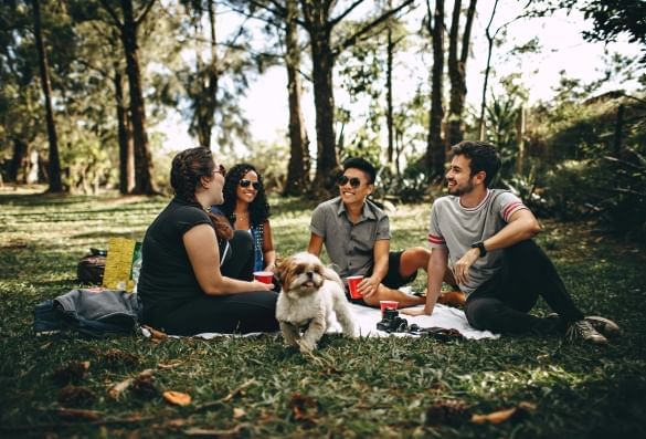 Four adults sitting on a picnic blanket in a clearing surrounded by trees with red solo cups and a small dog. Spend time nurturing other relationships on Singles Awareness Day.