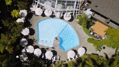 birds eye view of outdoor swimming pool