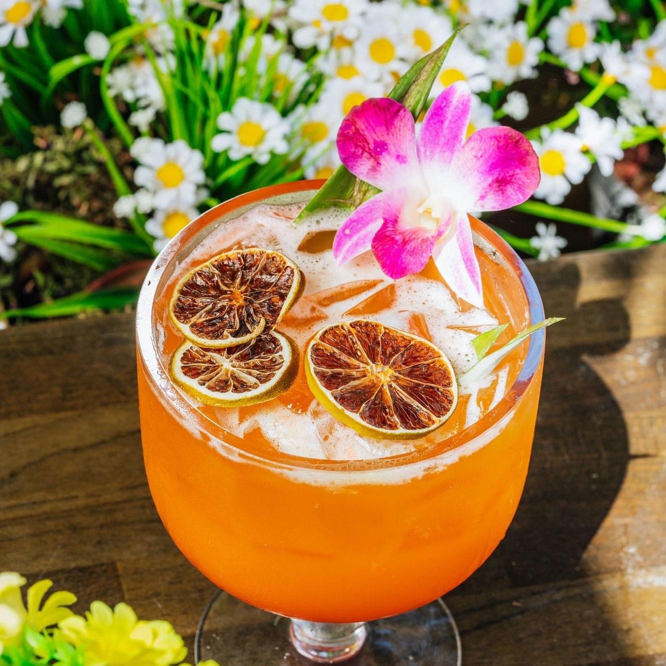 Refreshing tropical cocktail garnished with dried lime slices and a pink orchid outside Tradewinds Apartment Hotel