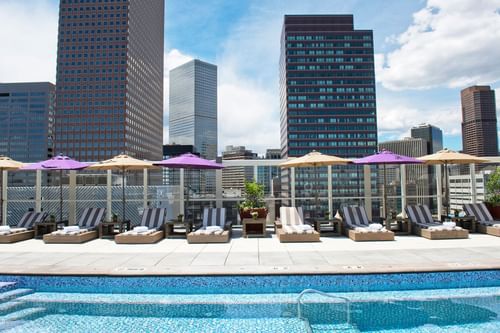 Pool view at the top at Warwick Denver
