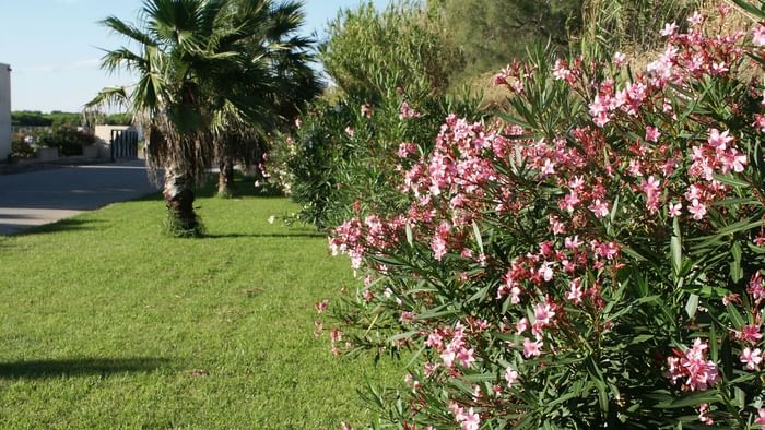 Exterior view of the garden area at Relax'Otel