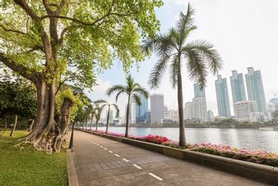 Benjakitti Park with trees in near dream Thailand Bangkok