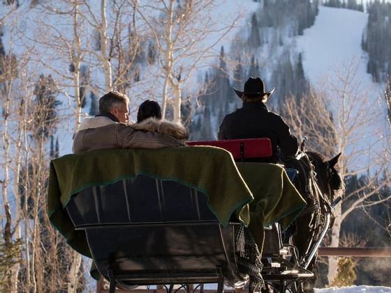 Winter Horse Drawn Sleigh Ride