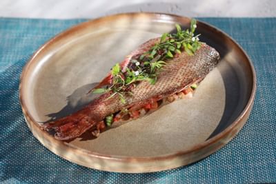 Closeup of dish served in Alma Restaurant at Punta Islita Hotel