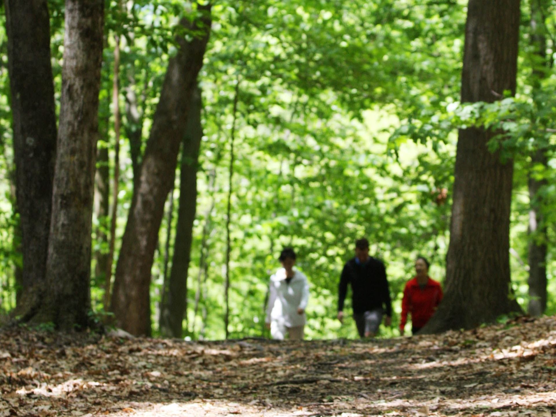 People hiking at Shawangunk Park near Honor’s Haven