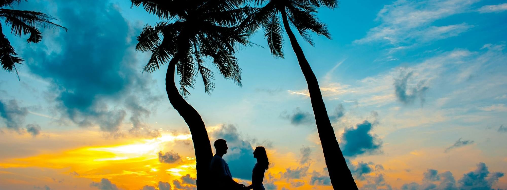 A couple in silhouette standing between two palm trees on the beach at sunset near Pullman Palm Cove Sea Temple Resort & Spa