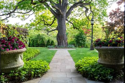 Garden area with flowers & plants, Castle Hotel and Spa