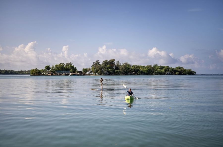 Person kayaking on a calm body of water with a small island in the background.