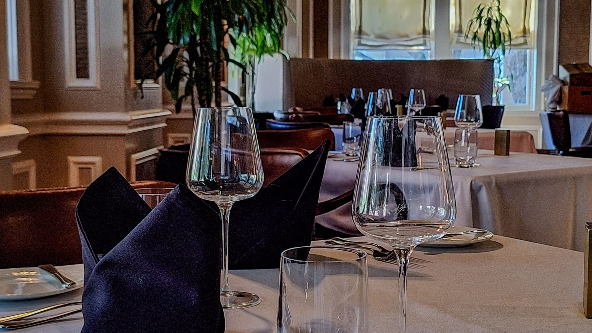 Wine glasses on a white cloth table by a green plant in The Landmark Prime Rib at Warwick Melrose Dallas