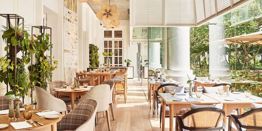 Bright and airy Opera Restaurant interior with wooden tables, elegant decor, and lush greenery at Park Hyatt Saigon