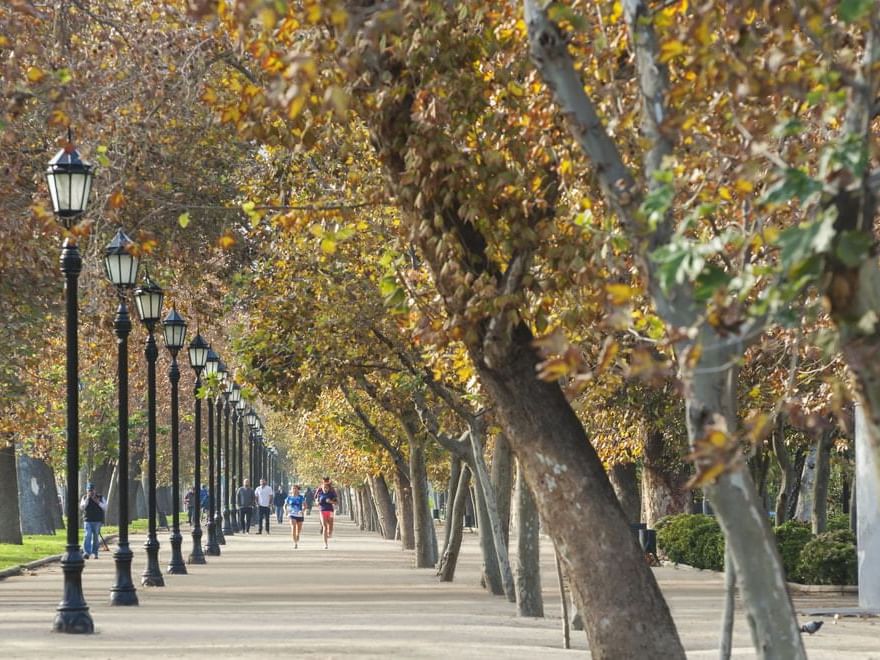 Boys running on a walking path near Hotel Ismael