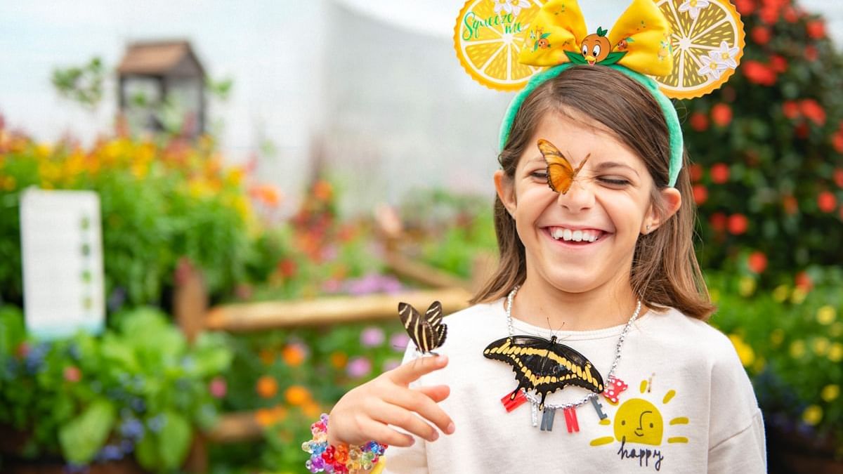 EPCOT International Flower and Garden Festival Butterfly House