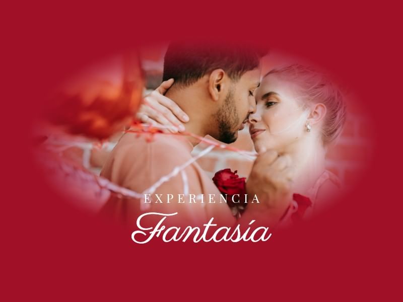 Experiencia fantasía