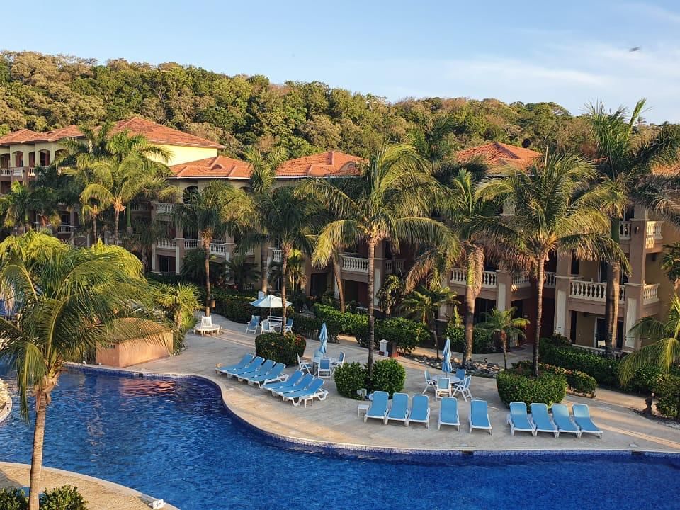 pool with lounge chairs