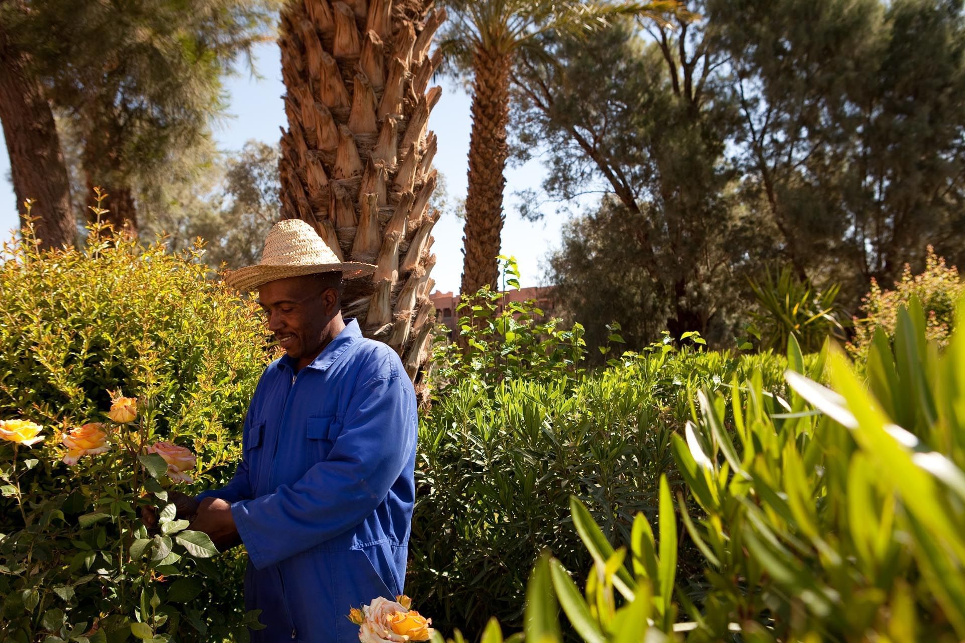 Garden at Kenzi Azghor Hotel in Ouarzazate, Morocco