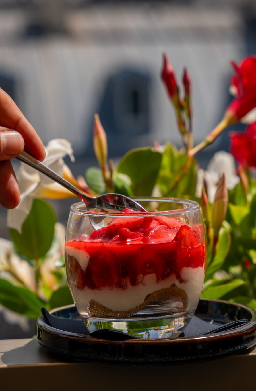 Tiramisu aux fruits rouges  