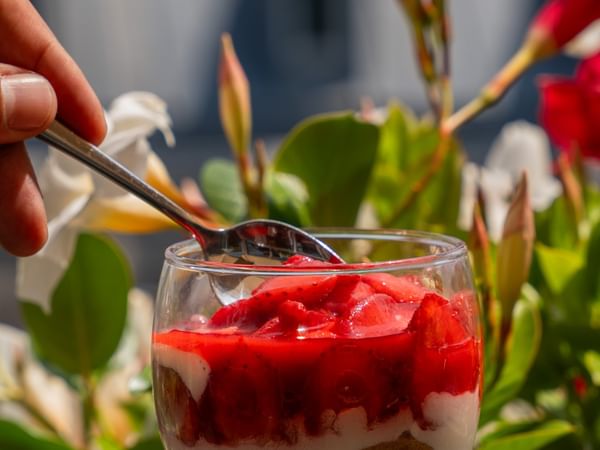 Red berry tiramisu