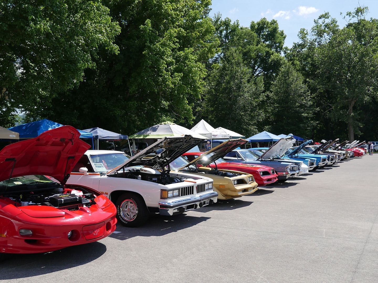 Cars parked with opened bonnets at Music Road Resort