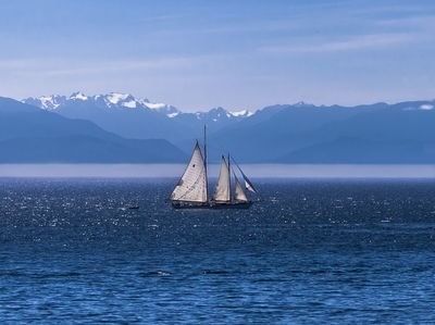 A beautiful schooner sails on the ocean with snow-capped mountains in the background near Embassy Inn Victoria