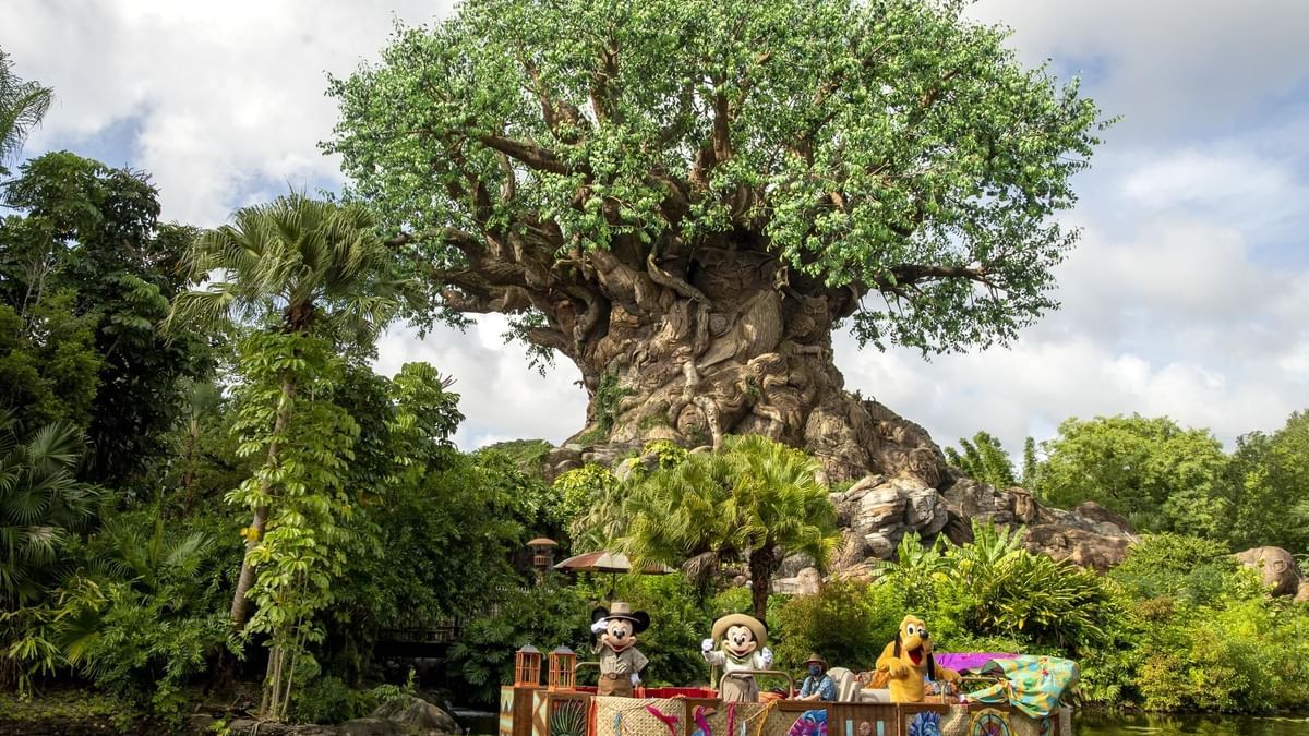 Disney's Animal Kingdom® Theme Park