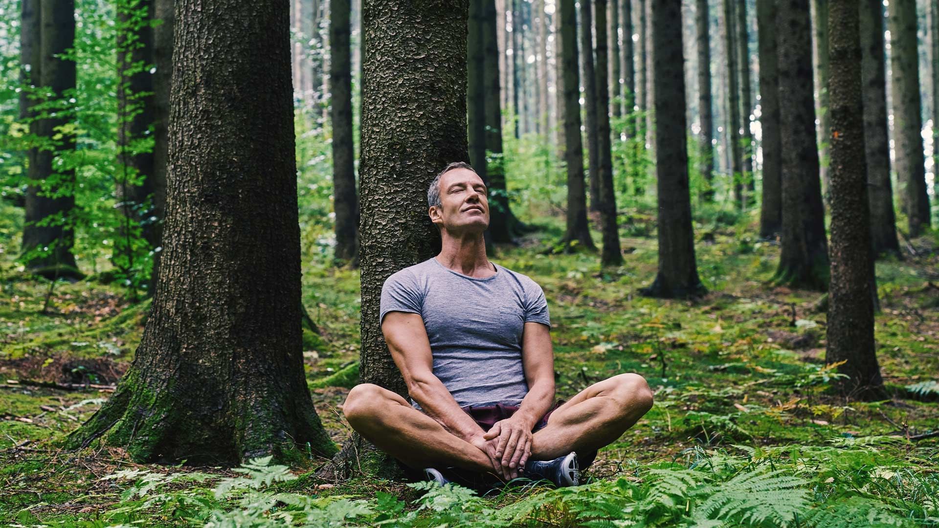 Mann meditiert im Wald an Baum angelehnt