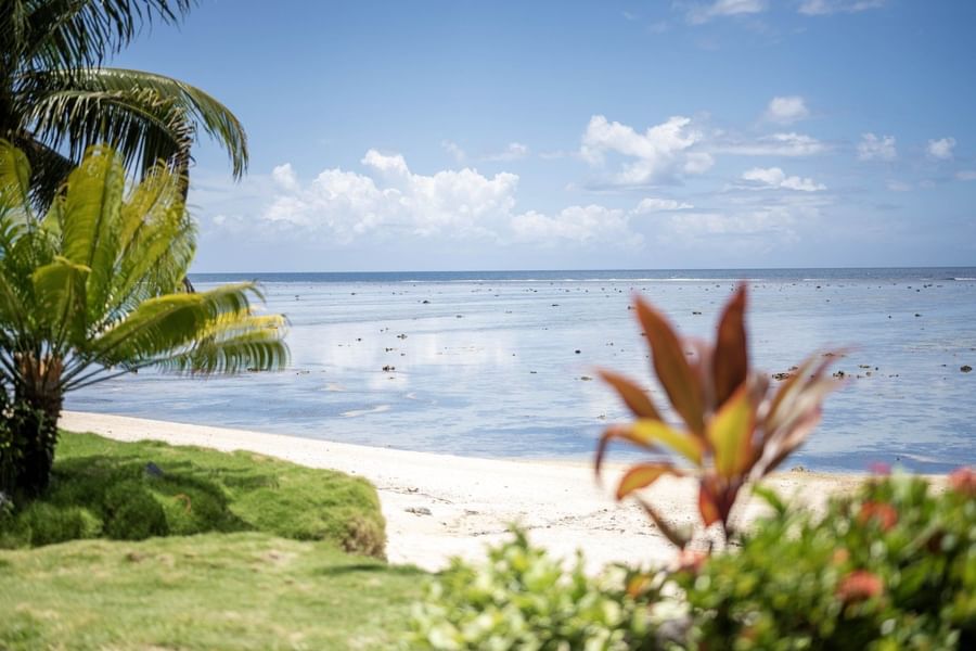 Calm ocean view by a white sand beach under tropical green leaves near Warwick Fiji Resort and Spa