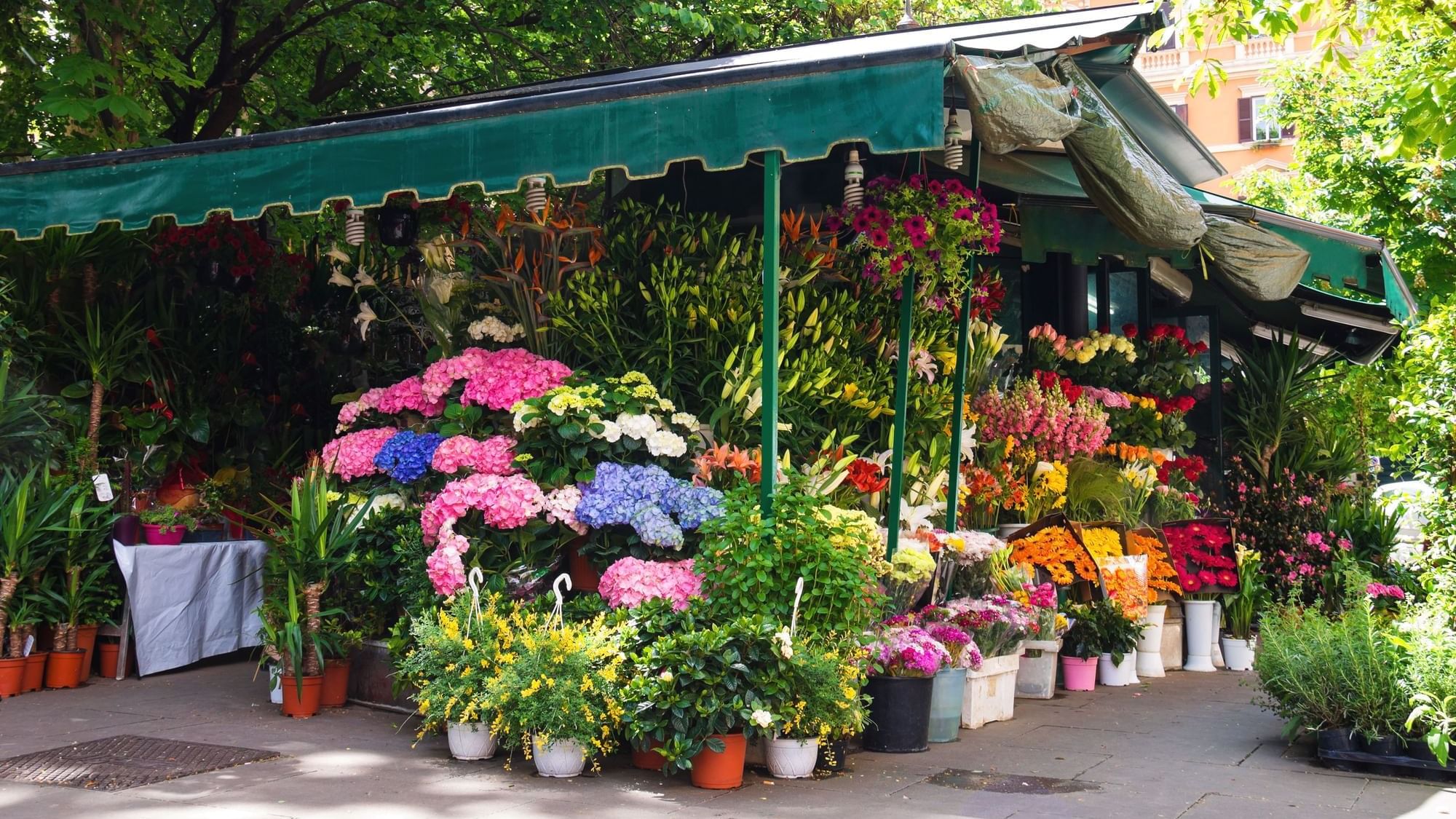 Top flower markets in London The Clermont
