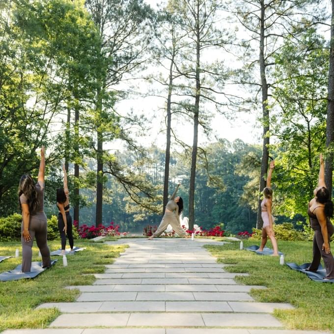 Group practicing sunrise morning yoga in a serene outdoor setting.