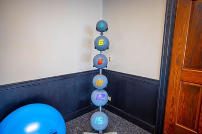 a row of weight exercise balls
