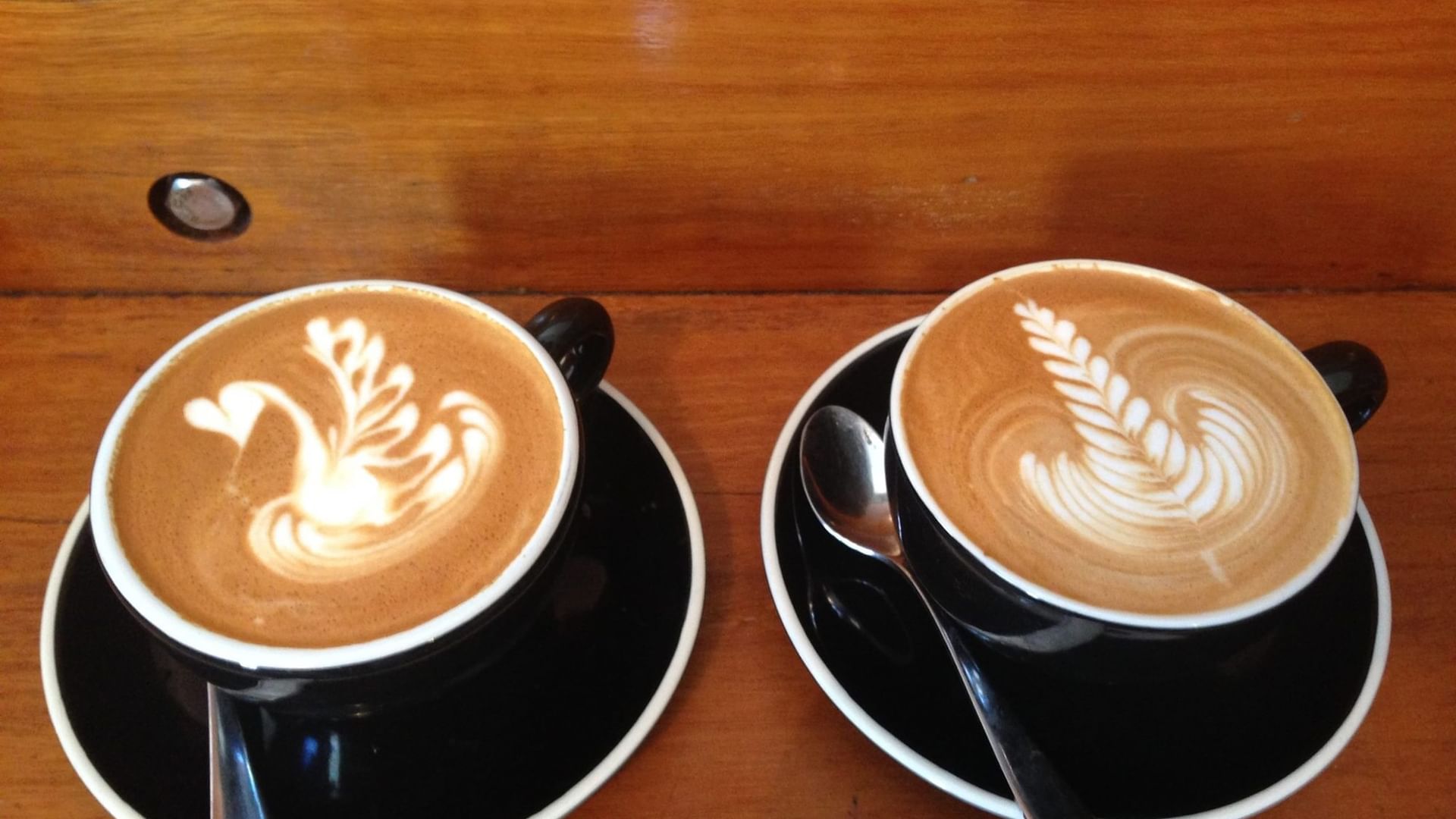 Two black cups of hot coffee with swan and leaf latte art on a wooden table at Elysium Manly, an elite hotel in Manly