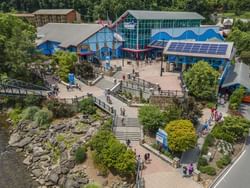 Aerial view of Ripley's Aquarium  with blue buildings and visitors near the Wander Hotel