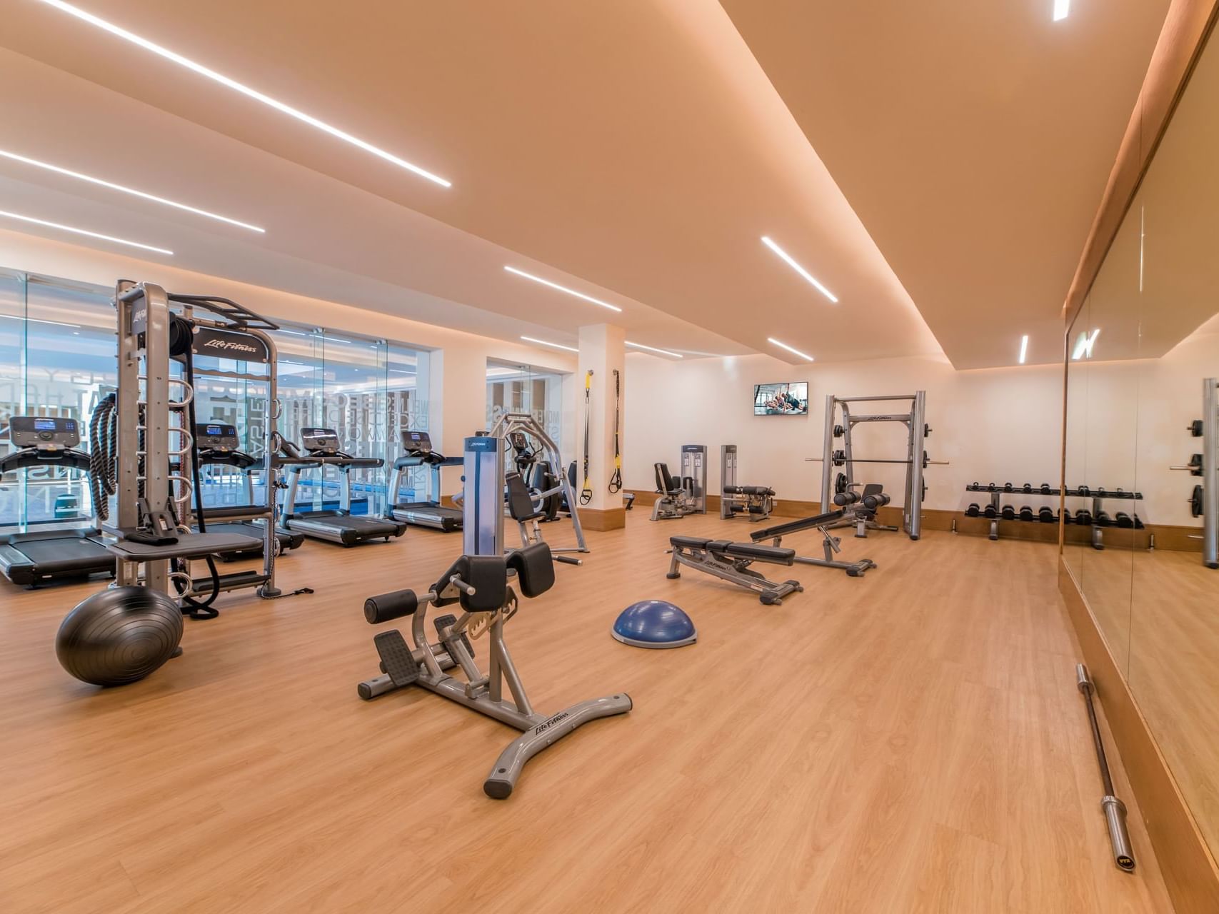 Dumbells, training equipment & machines in gymnasium at Haven Riviera Cancun