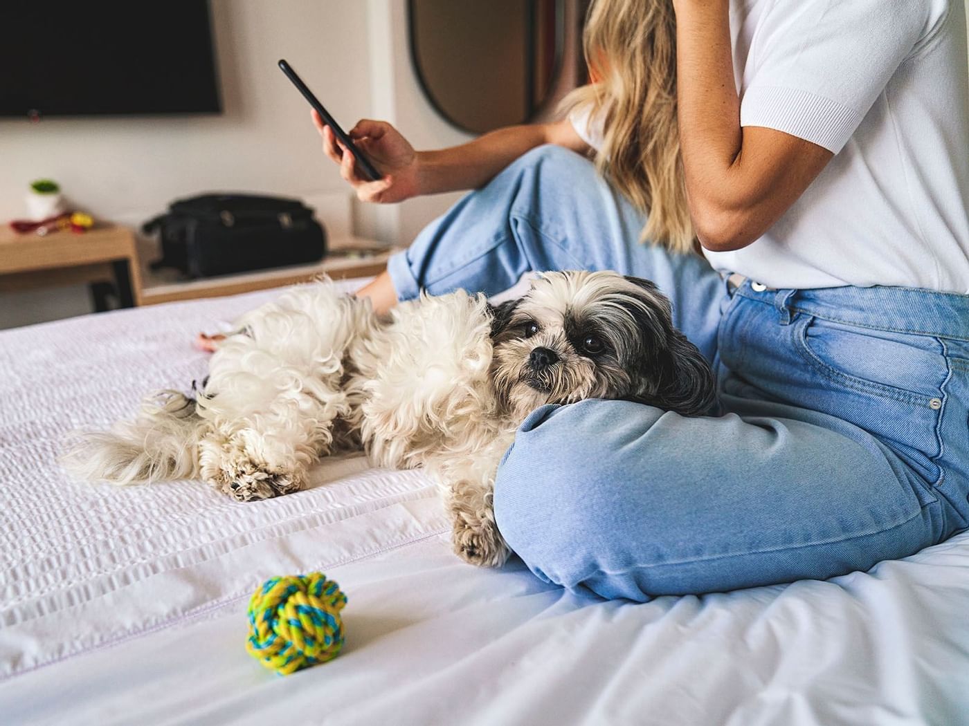 Lady & dog in Dog Friendly Relax Room, 1 King at IOH Hotels