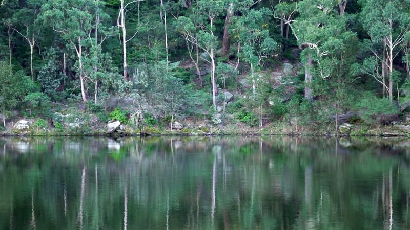 Lake Parramatta Reserve