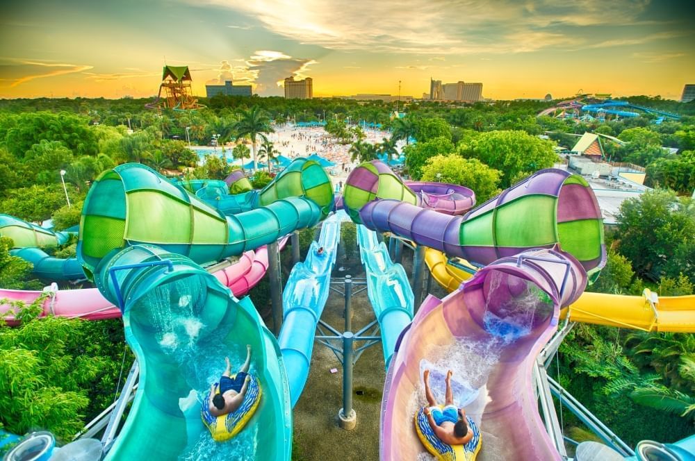 Two matching waterslides twist and turn downward looking out over trees, pools, and other Aquatica attractions. 