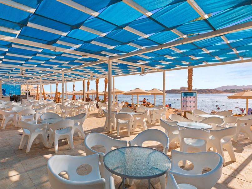 Beach Bar at Albatros Sharm Resort in Sharm El Sheikh