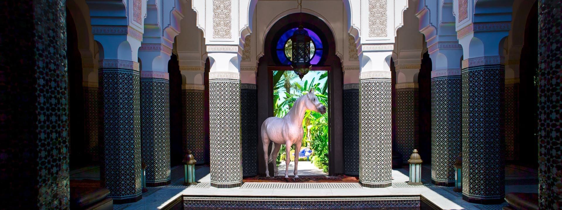 Horse show near Selman Marrakech Hotel