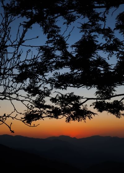 Sunset view through dark tree silhouettes with layered mountains backdrop at The Terraces Resort & Spa