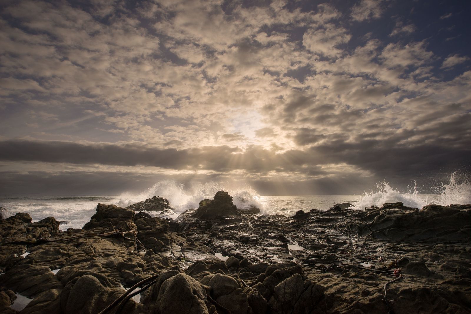 Cambria CA Hotel Specials & Deals - Sea Otter Inn