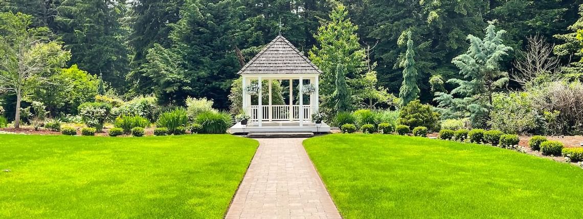Overview of wedding garden surrounded by trees