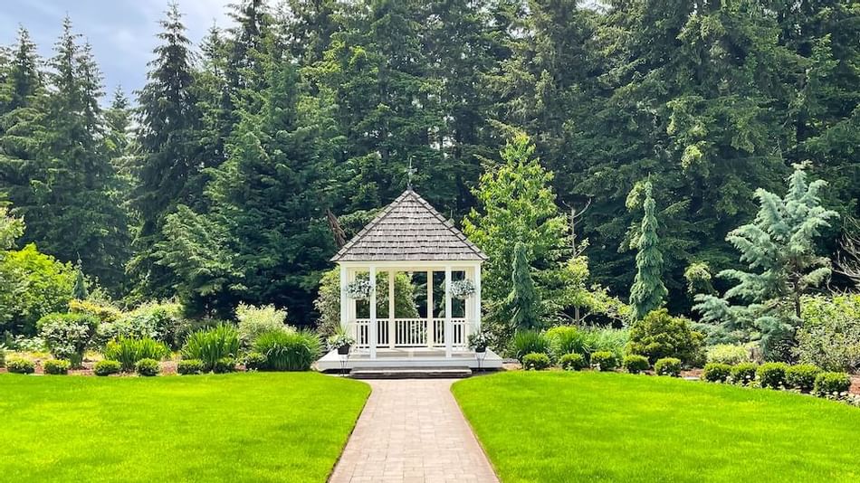 Overview of wedding garden surrounded by trees