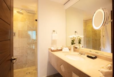 Bathroom vanity and shower area in a room at Villa Premiere Boutique Hotel & Romantic Getaway