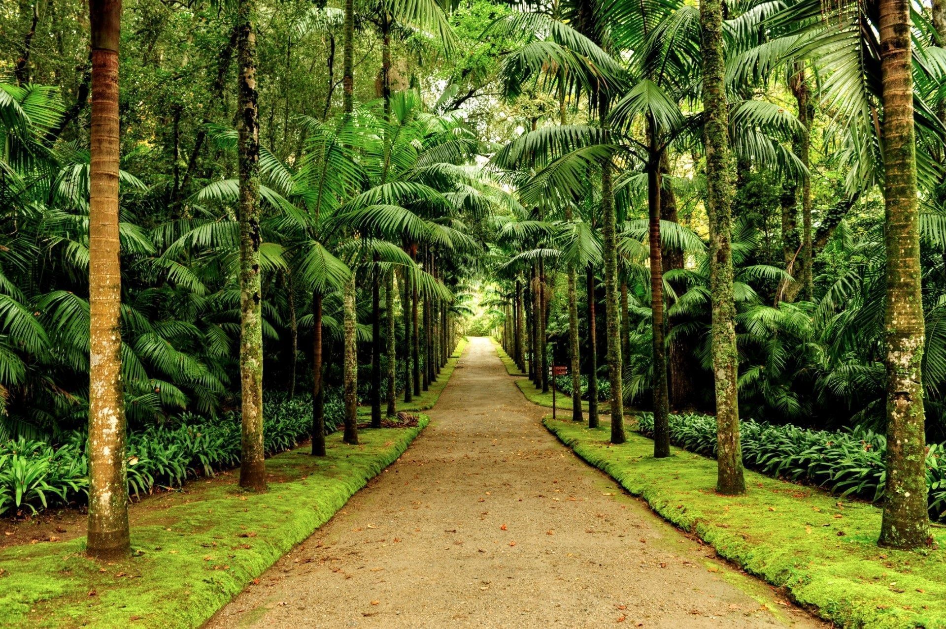 Sustainability | Sustainable Tourism | Botania Hall by Terra Nostra