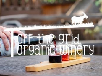 Wine being poured into glasses on a board at Off the Grid Organic Winery.