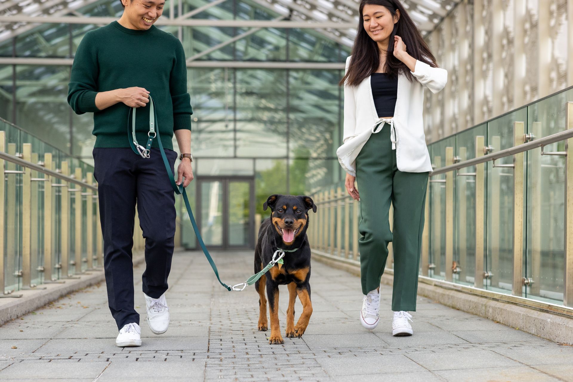 Couple walking Rottweiler on leash along glass walkway bridge facing modern glass structure at Hotel X Toronto