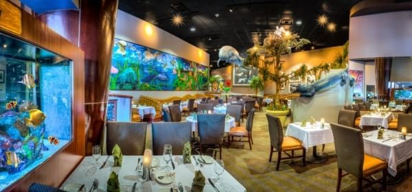 The interior of a restaurant with an aquarium and various Everglades-themed decor, including a hanging manatee and a large fake alligator.