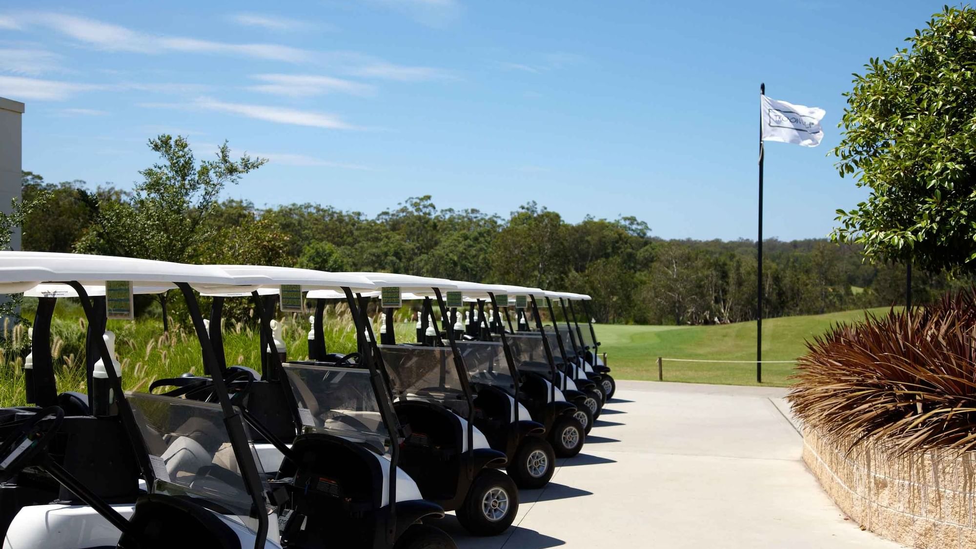 Line of golf carts parked at a sunny golf course with trees near Mercure Kooindah Waters